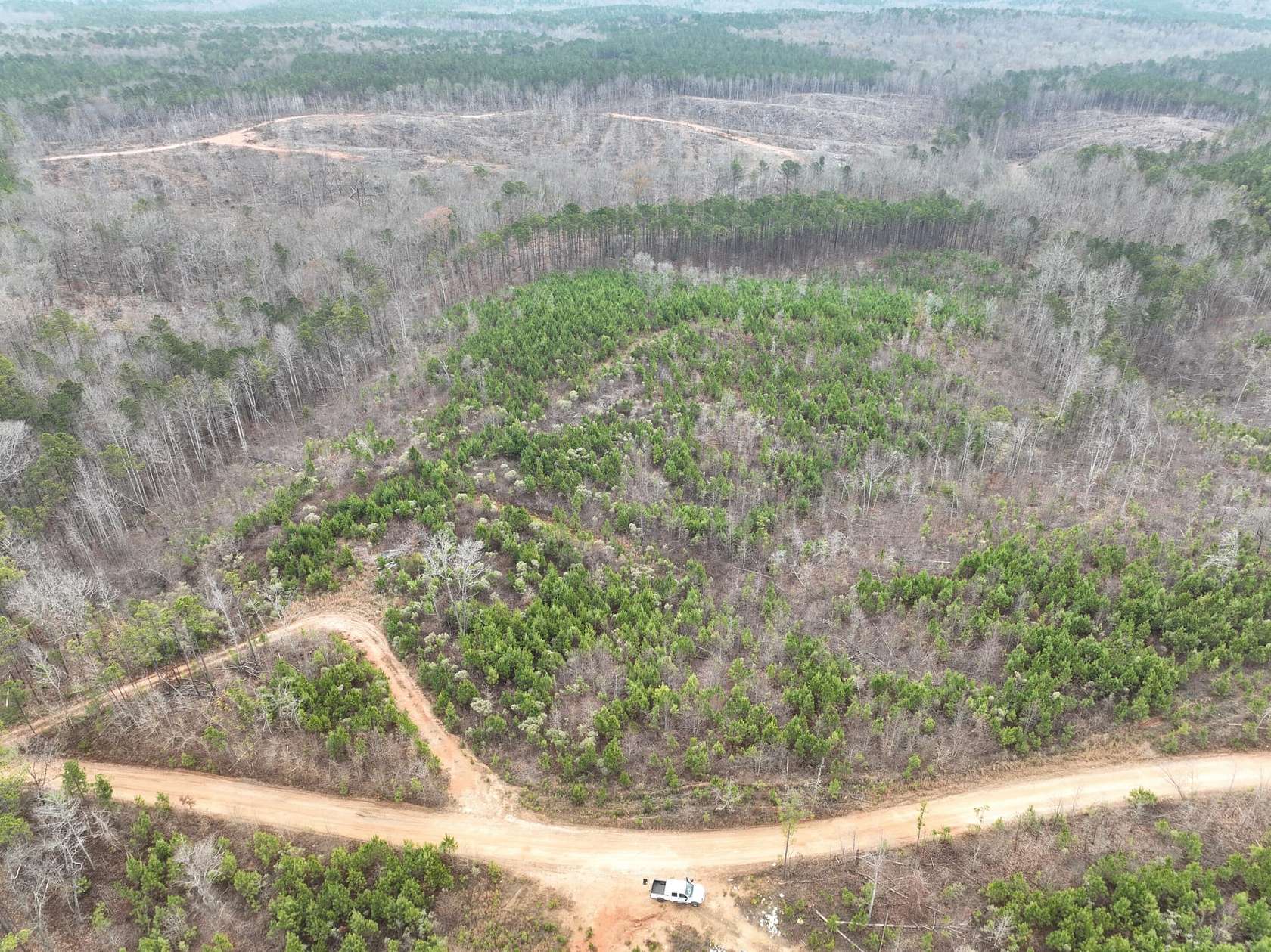 41 Acres of Recreational Land for Sale in Kellyton, Alabama