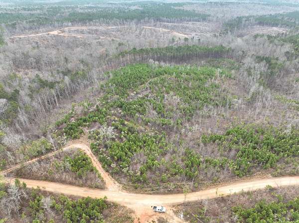 41 Acres of Recreational Land for Sale in Kellyton, Alabama