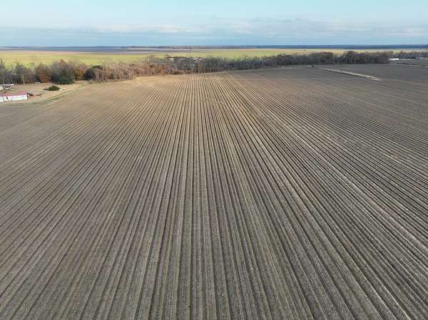 83.5 Acres of Agricultural Land for Sale in Louise, Mississippi