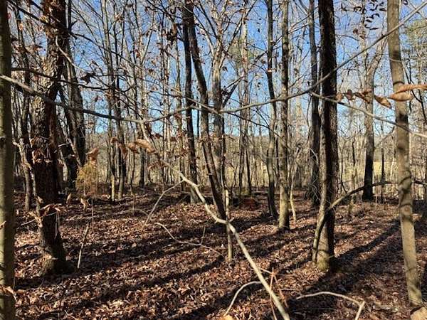 5 Acres of Recreational Land for Sale in Valley Head, Alabama