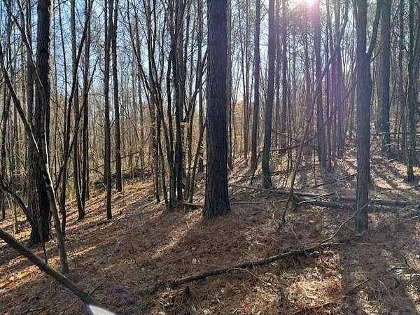 3 Acres of Residential Land for Sale in Valley Head, Alabama