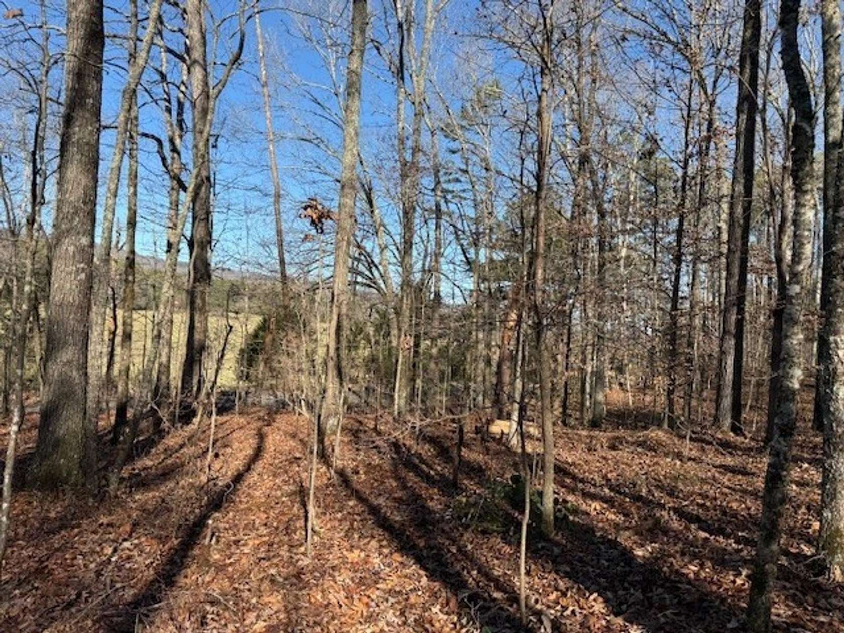 5.1 Acres of Recreational Land for Sale in Valley Head, Alabama