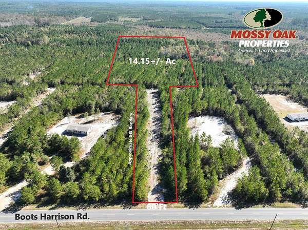 14.2 Acres of Recreational Land for Sale in Hortense, Georgia