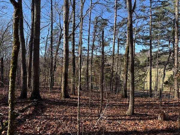 4.89 Acres of Recreational Land for Sale in Valley Head, Alabama