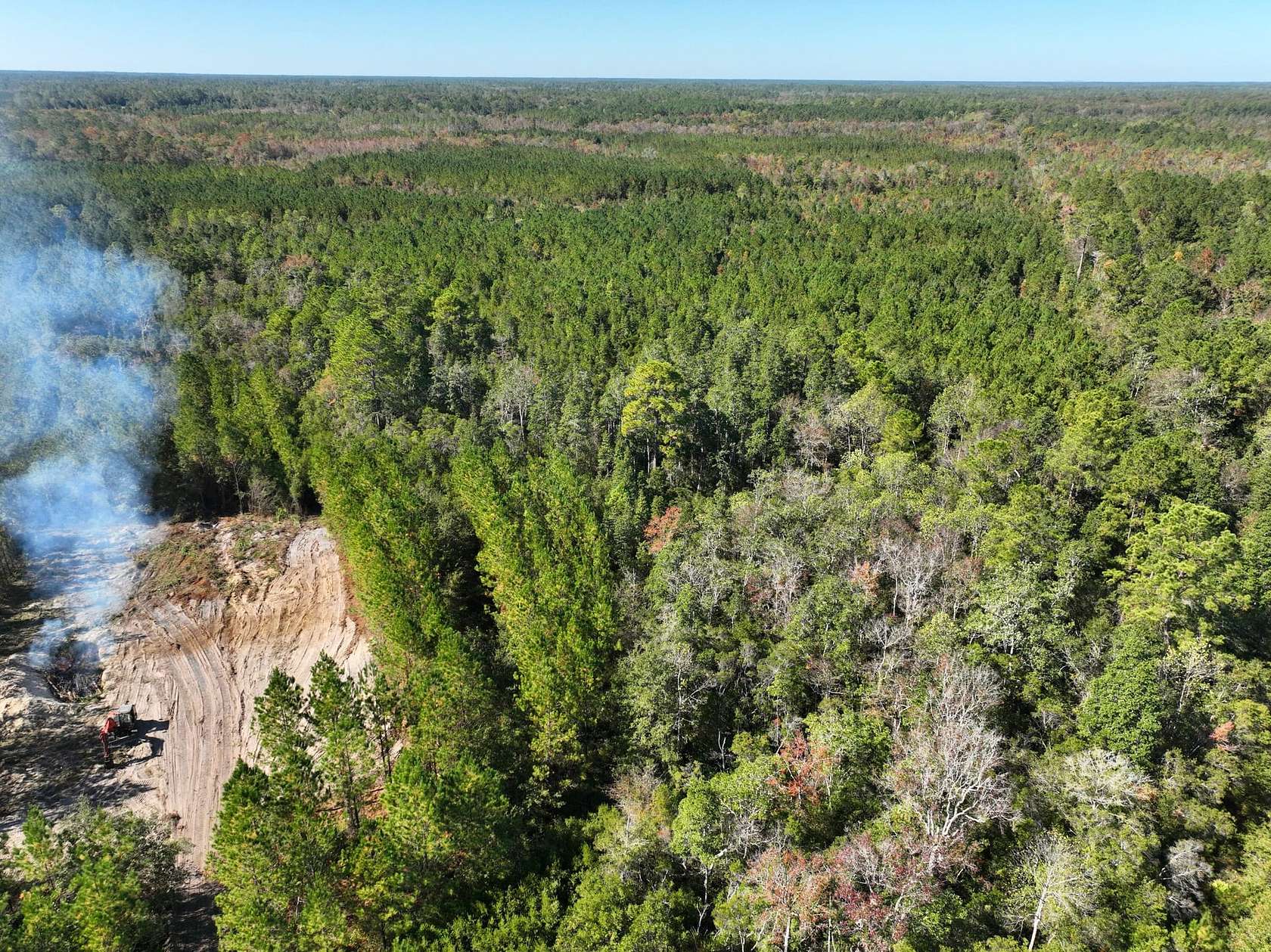 125 Acres of Recreational Land for Sale in Hortense, Georgia