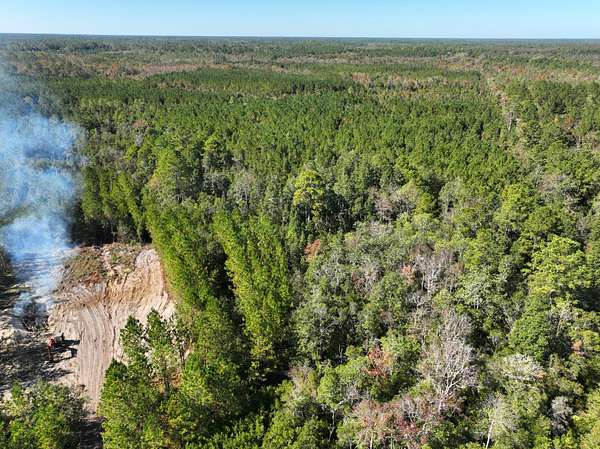 125 Acres of Recreational Land for Sale in Hortense, Georgia