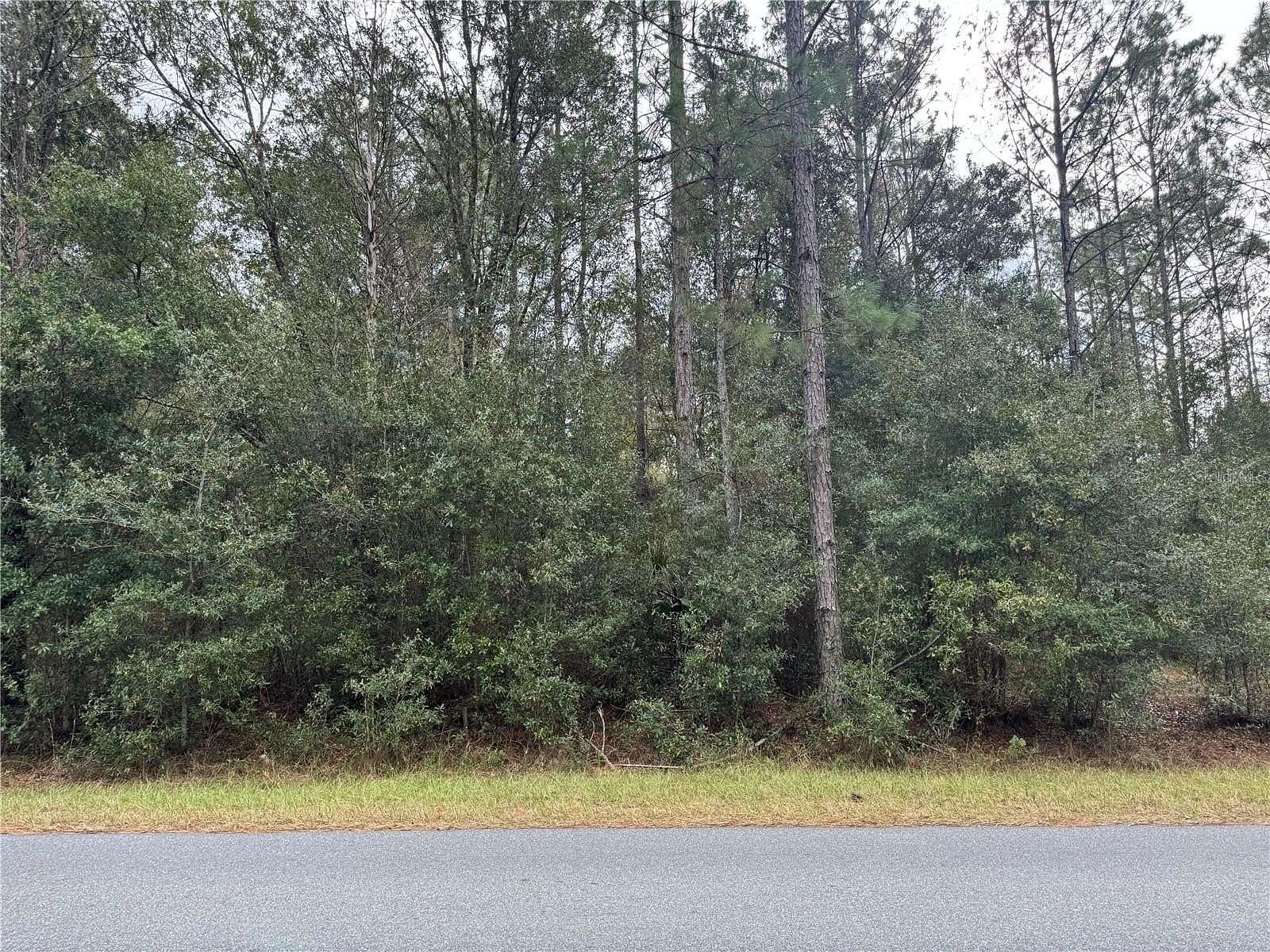 1 Acre of Residential Land for Sale in Dunnellon, Florida
