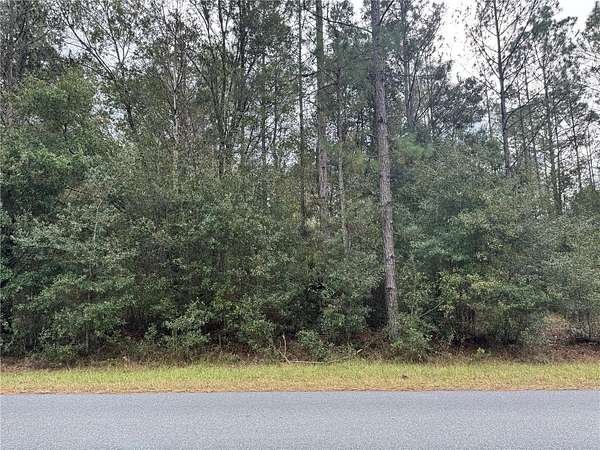 1 Acre of Residential Land for Sale in Dunnellon, Florida
