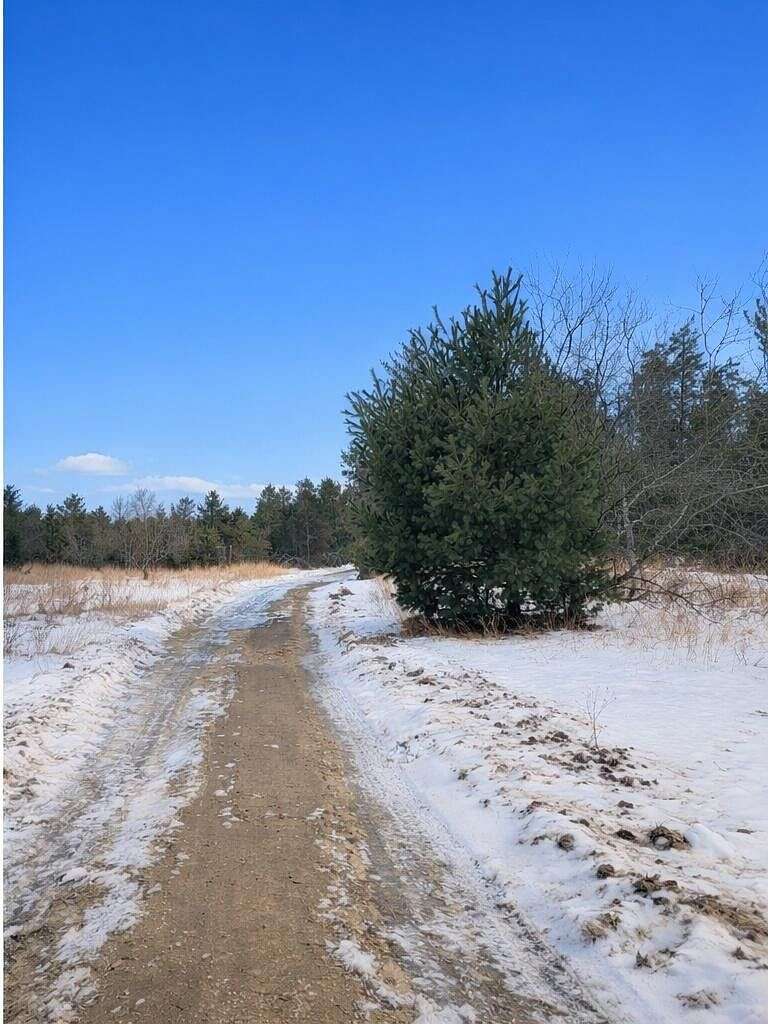 3.43 Acres of Agricultural Land for Sale in Atlanta, Michigan