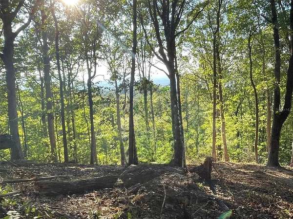 1.57 Acres of Land for Sale in Murphy, Florida