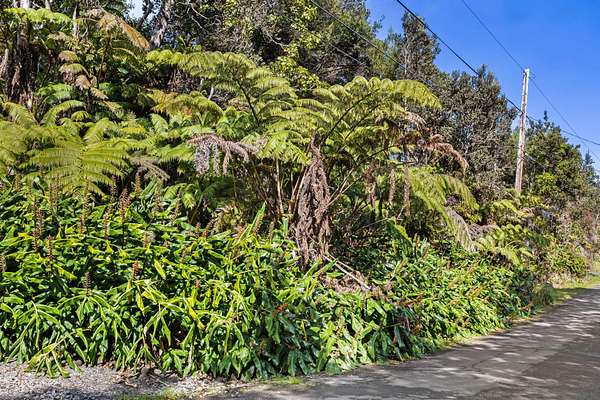 0.19 Acres of Residential Land for Sale in Volcano, Hawaii