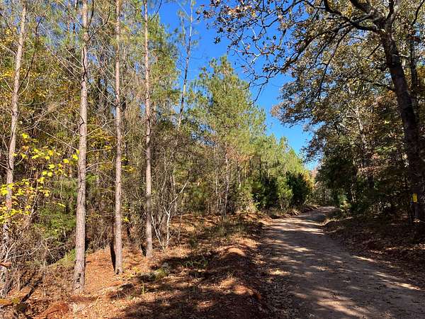 15 Acres of Land for Sale in Donalds, South Carolina