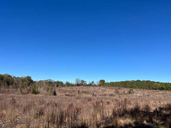 18 Acres of Land for Sale in Donalds, South Carolina