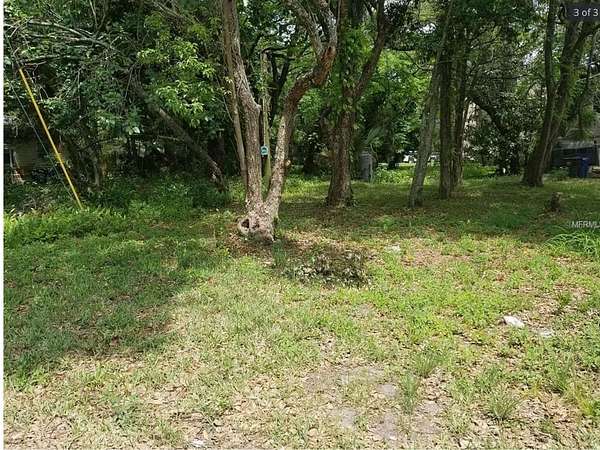 0.07 Acres of Mixed-Use Land for Sale in Tampa, Florida