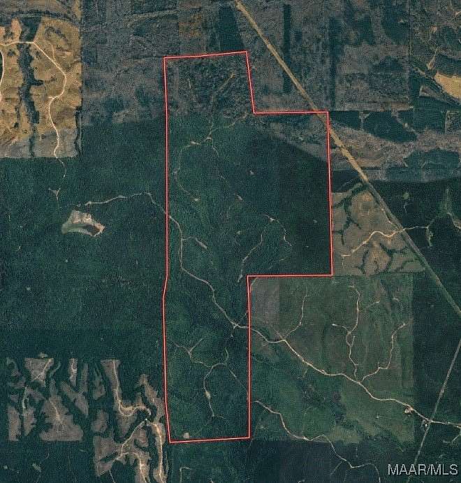 1,098 Acres of Land for Sale in Pittsview, Alabama