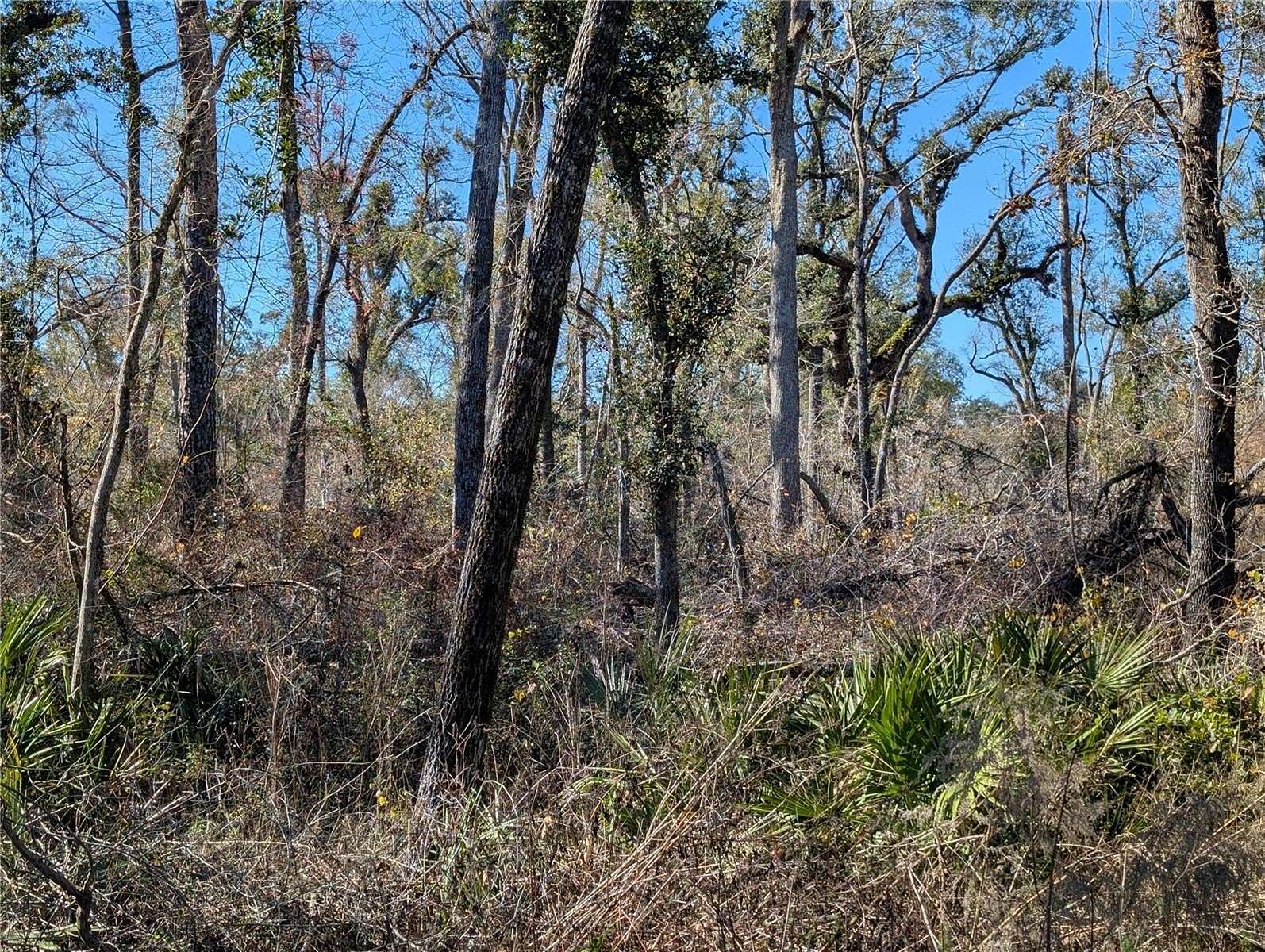 1.44 Acres of Residential Land for Sale in Mayo, Florida