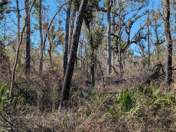 1.44 Acres of Residential Land for Sale in Mayo, Florida