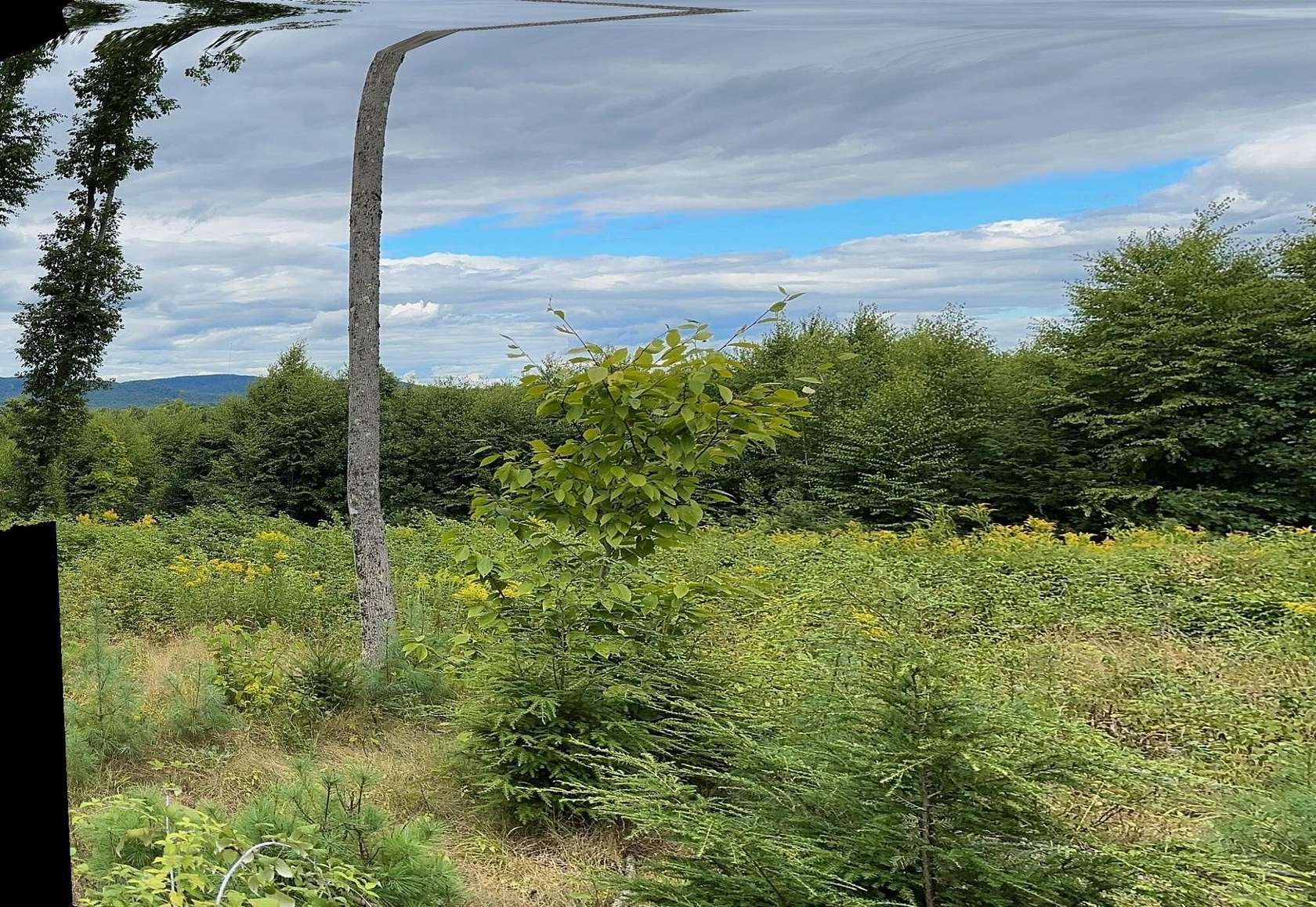 6.5 Acres of Residential Land for Sale in Cornish, Maine