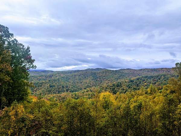 5 Acres of Residential Land for Sale in Butler, Tennessee