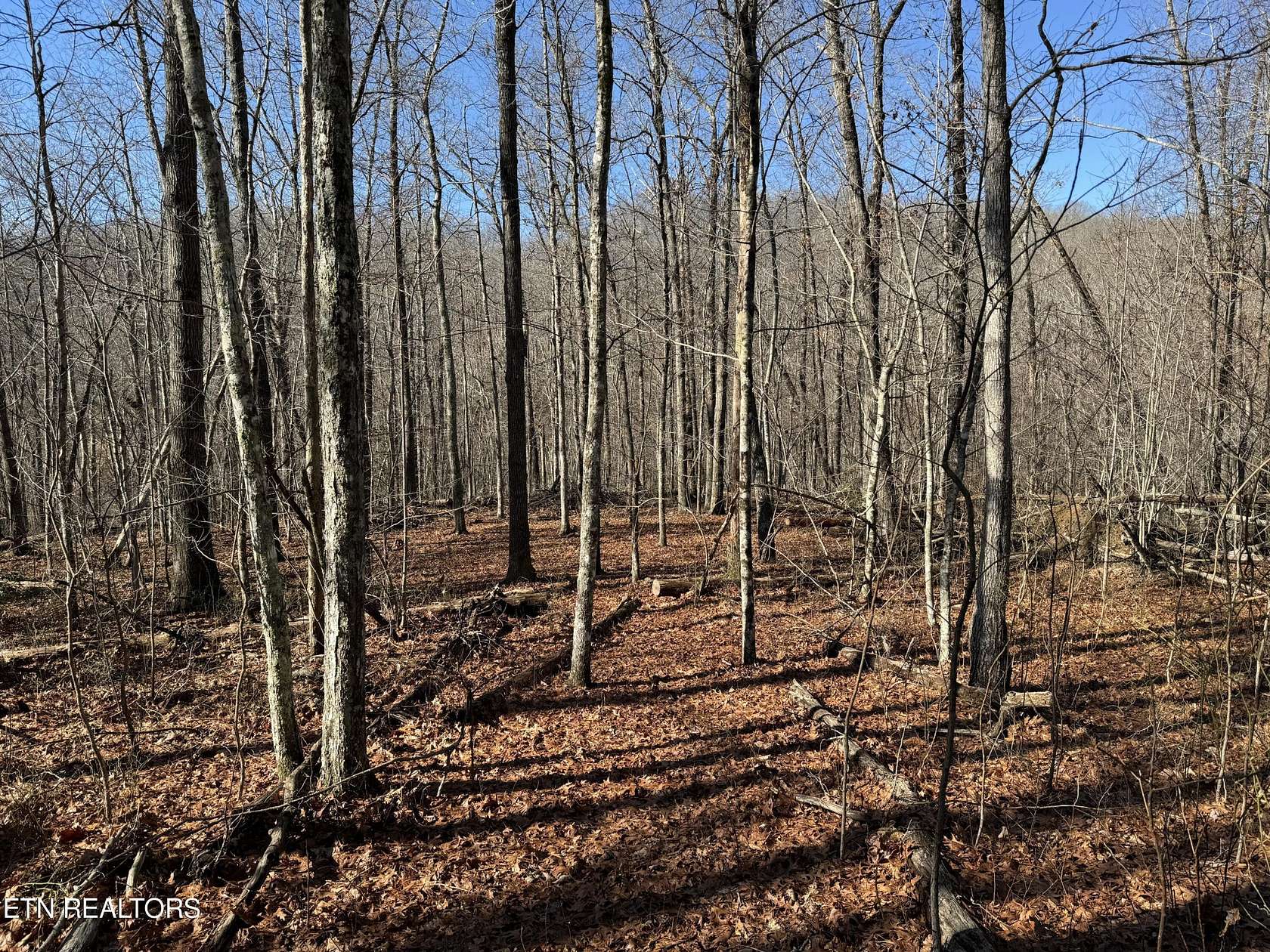 2.9 Acres of Residential Land for Sale in Monterey, Tennessee