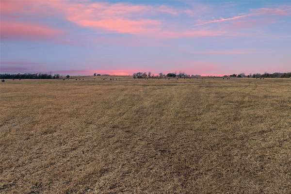 122 Acres of Land for Sale in Blossom, Texas