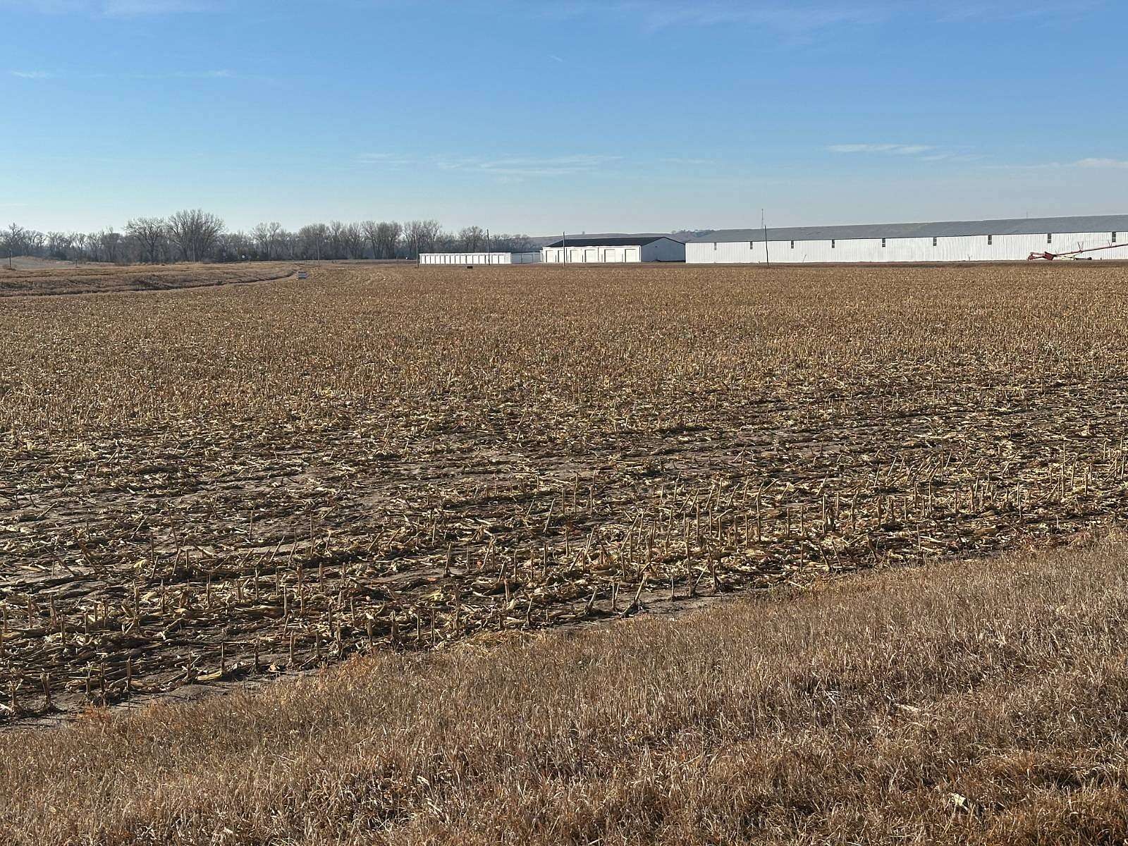 13.5 Acres of Land for Sale in Pierce, Nebraska