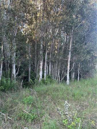 2.5 Acres of Land for Sale in Punta Gorda, Florida