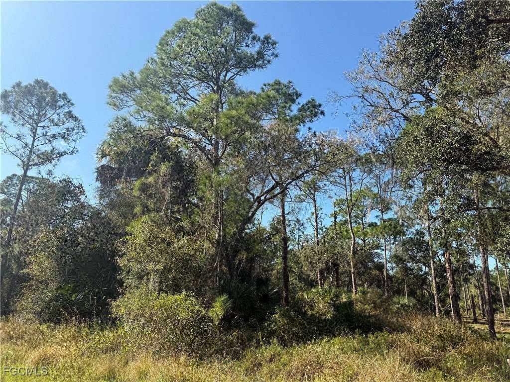 1.25 Acres of Residential Land for Sale in Clewiston, Florida