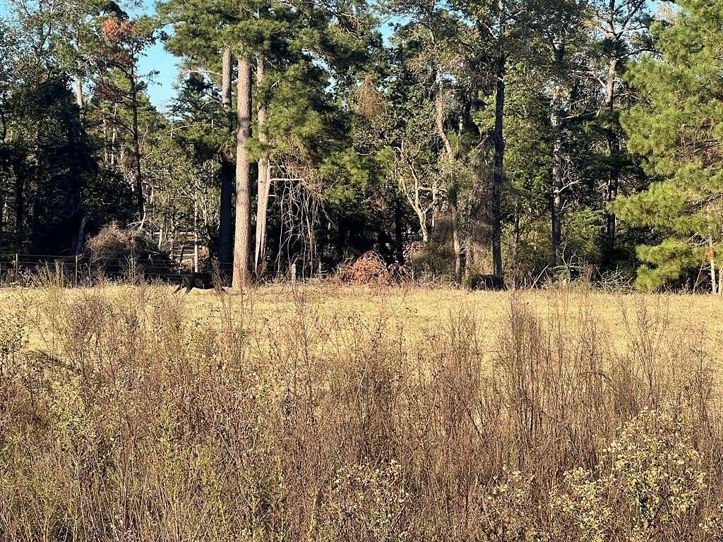 10 Acres of Land for Sale in Centerville, Texas