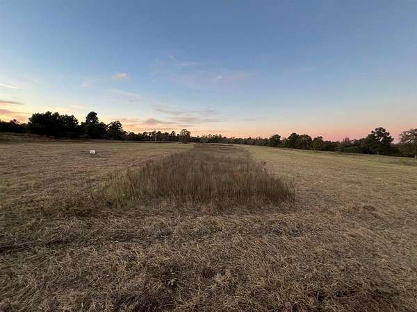 10 Acres of Land for Sale in Centerville, Texas