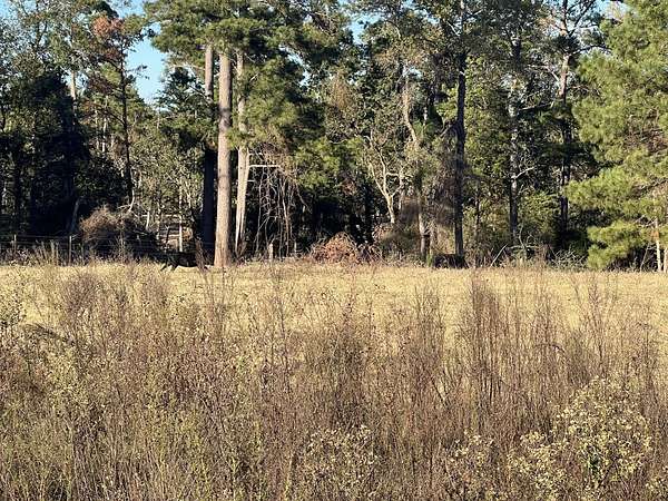 10 Acres of Land for Sale in Centerville, Texas