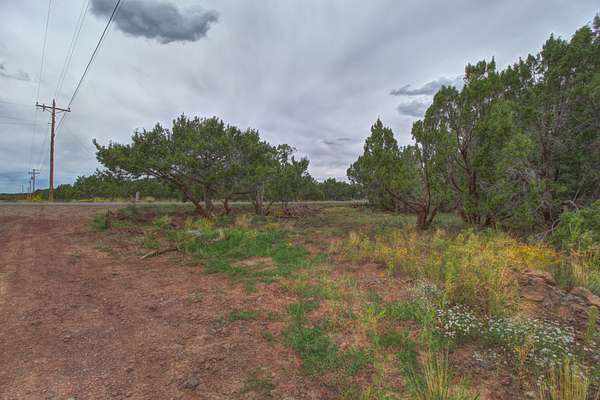 0.56 Acres of Residential Land for Sale in Vernon, Arizona