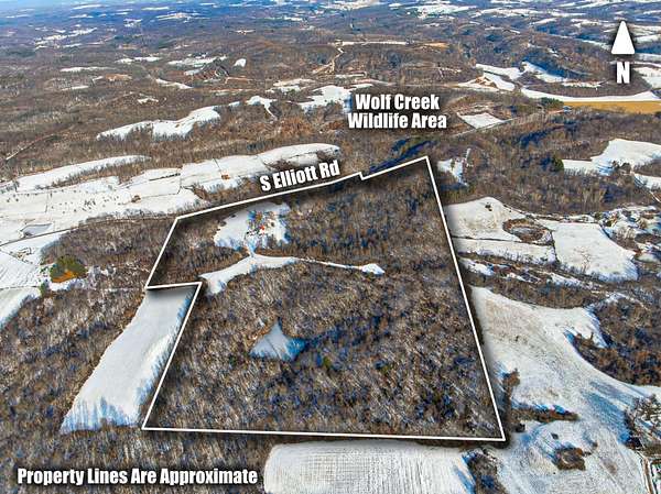 88.5 Acres of Recreational Land with Home for Auction in Stockport, Ohio