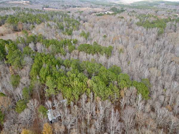 17 Acres of Recreational Land for Sale in Ashland, Alabama
