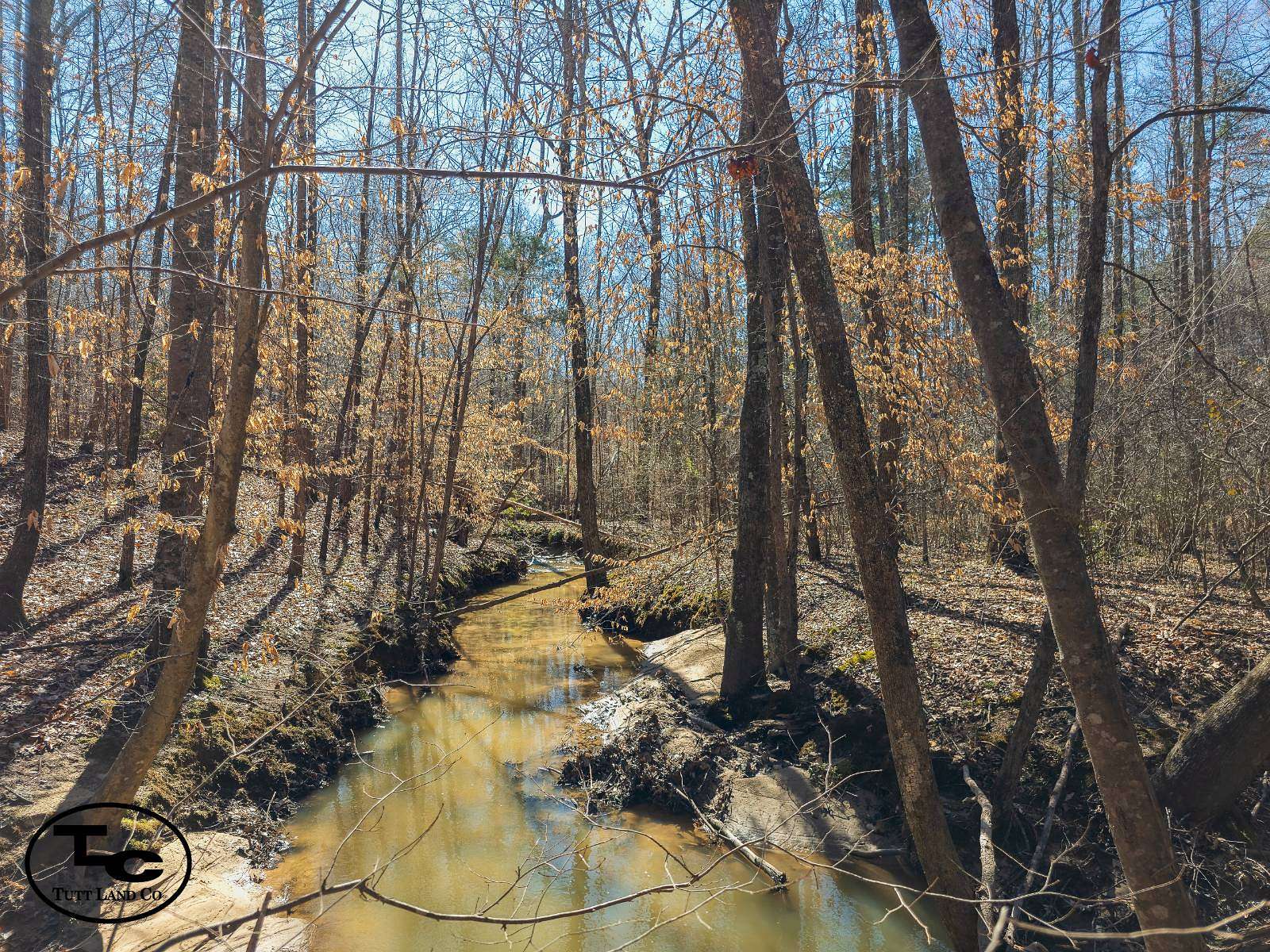 76 Acres of Land for Sale in Henderson, Tennessee