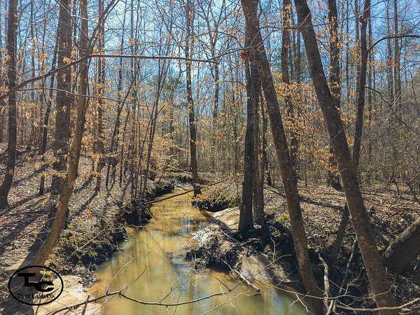 76 Acres of Land for Sale in Henderson, Tennessee