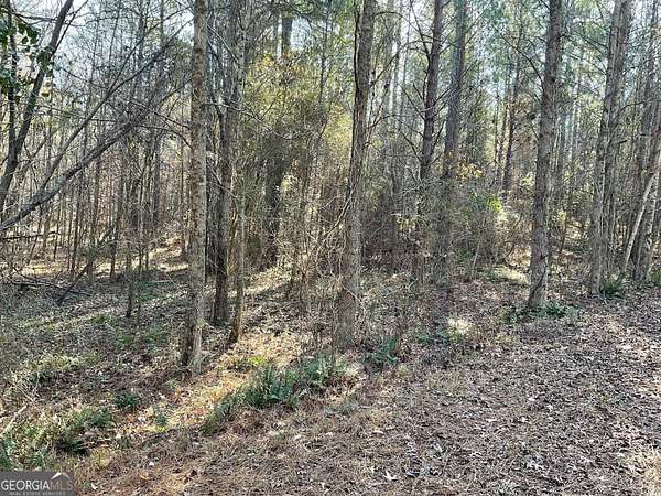 2.5 Acres of Land for Sale in Monticello, Georgia