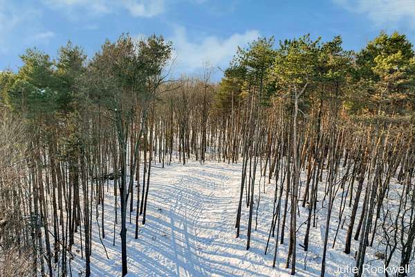 1.54 Acres of Residential Land for Sale in Ada, Michigan