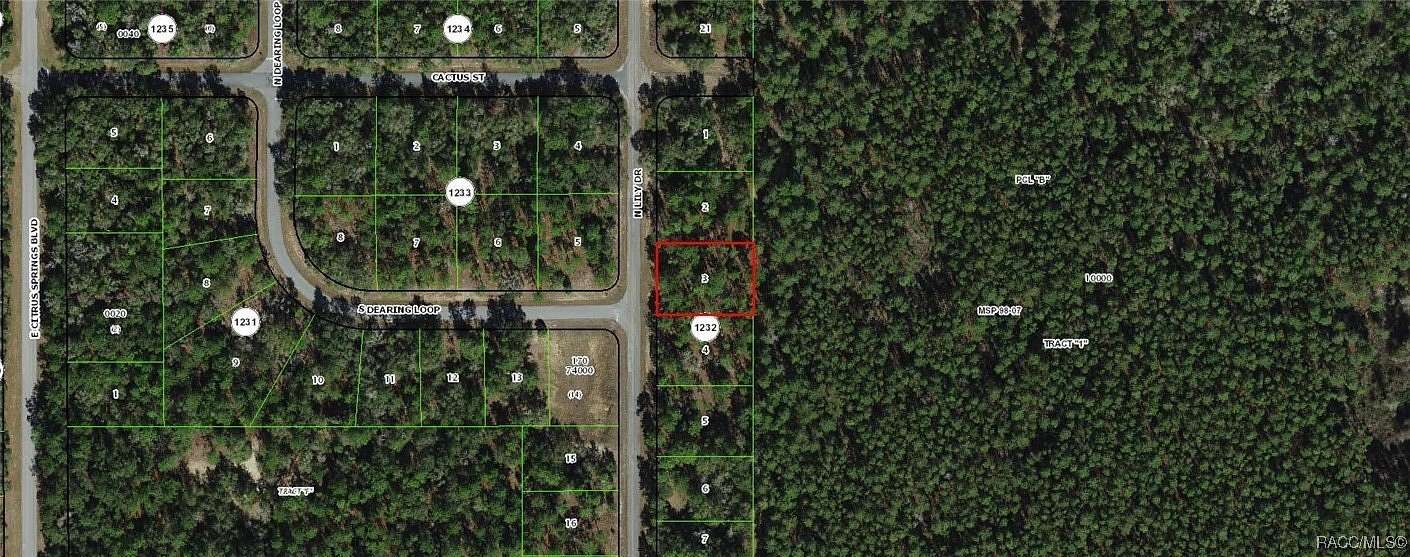 0.38 Acres of Residential Land for Sale in Dunnellon, Florida