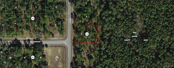 0.38 Acres of Residential Land for Sale in Dunnellon, Florida