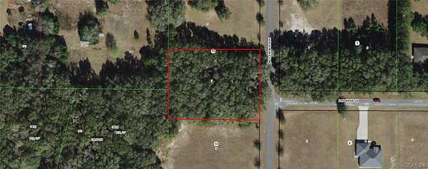 2 Acres of Residential Land for Sale in Hernando, Florida