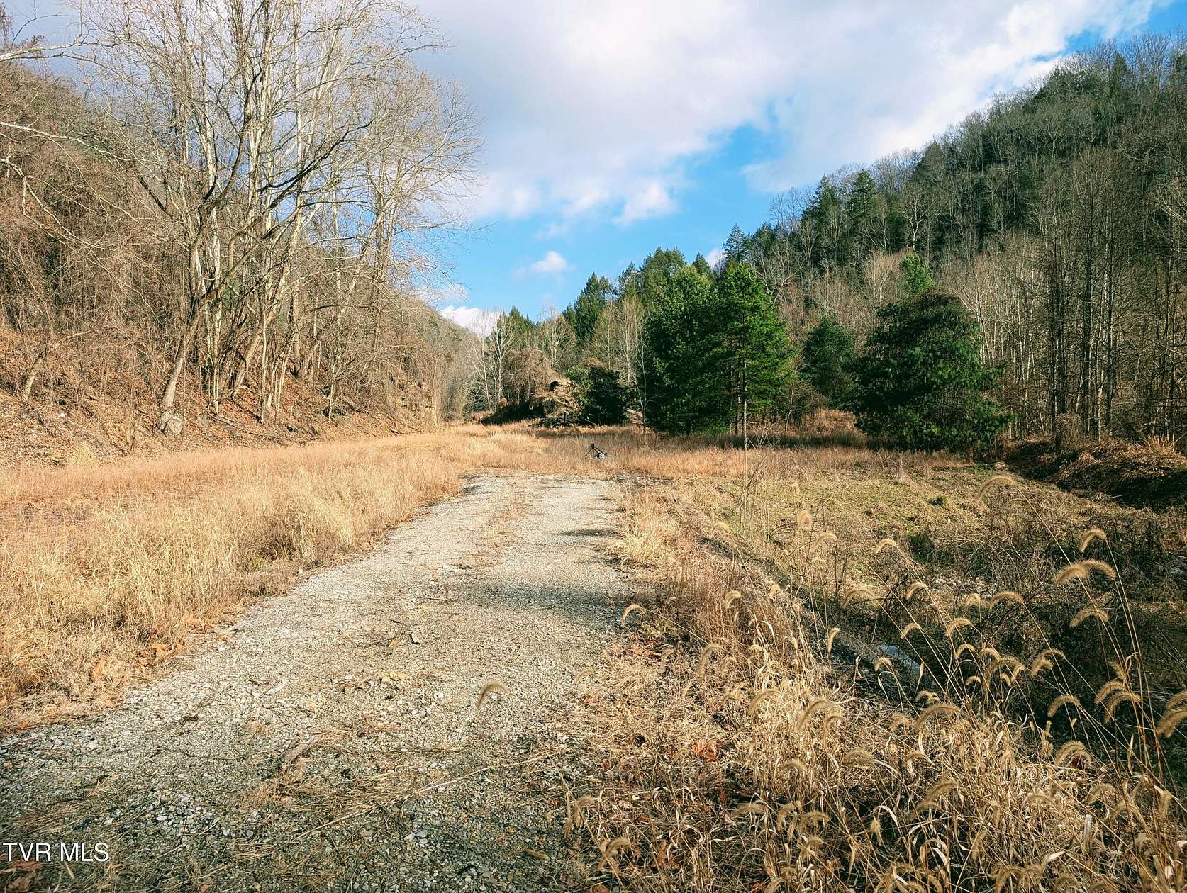 101 Acres of Recreational Land for Sale in Clintwood, Virginia