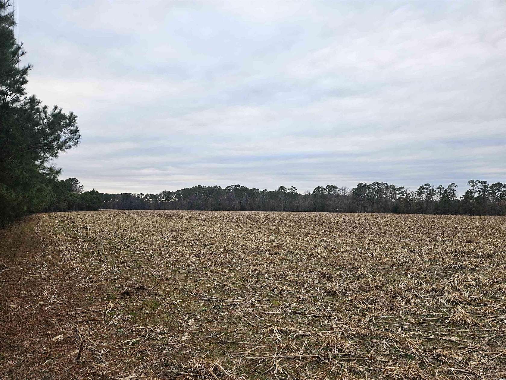 38 Acres of Agricultural Land for Sale in Pamplico, South Carolina