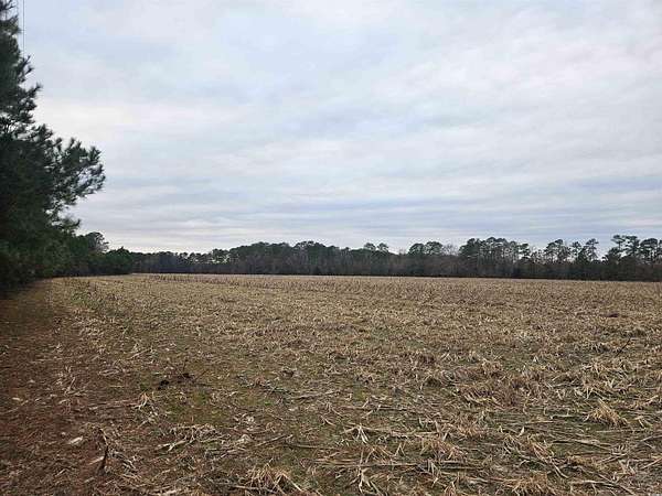 38 Acres of Agricultural Land for Sale in Pamplico, South Carolina