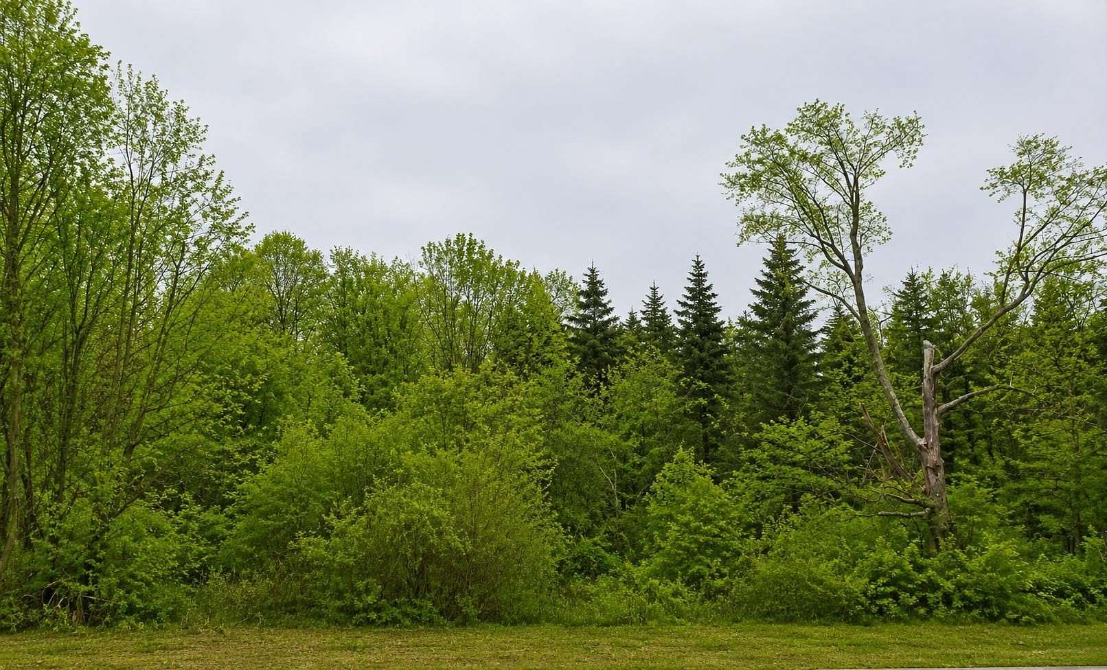 70.3 Acres of Recreational & Residential Land for Sale in Canton, New York