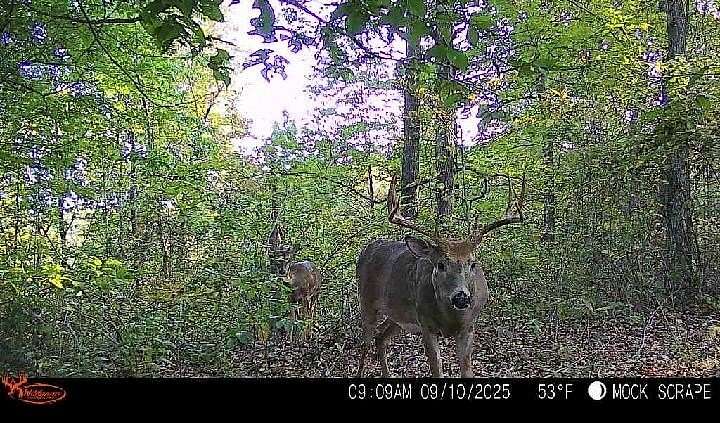 34.2 Acres of Recreational & Residential Land for Sale in Londonderry, Ohio