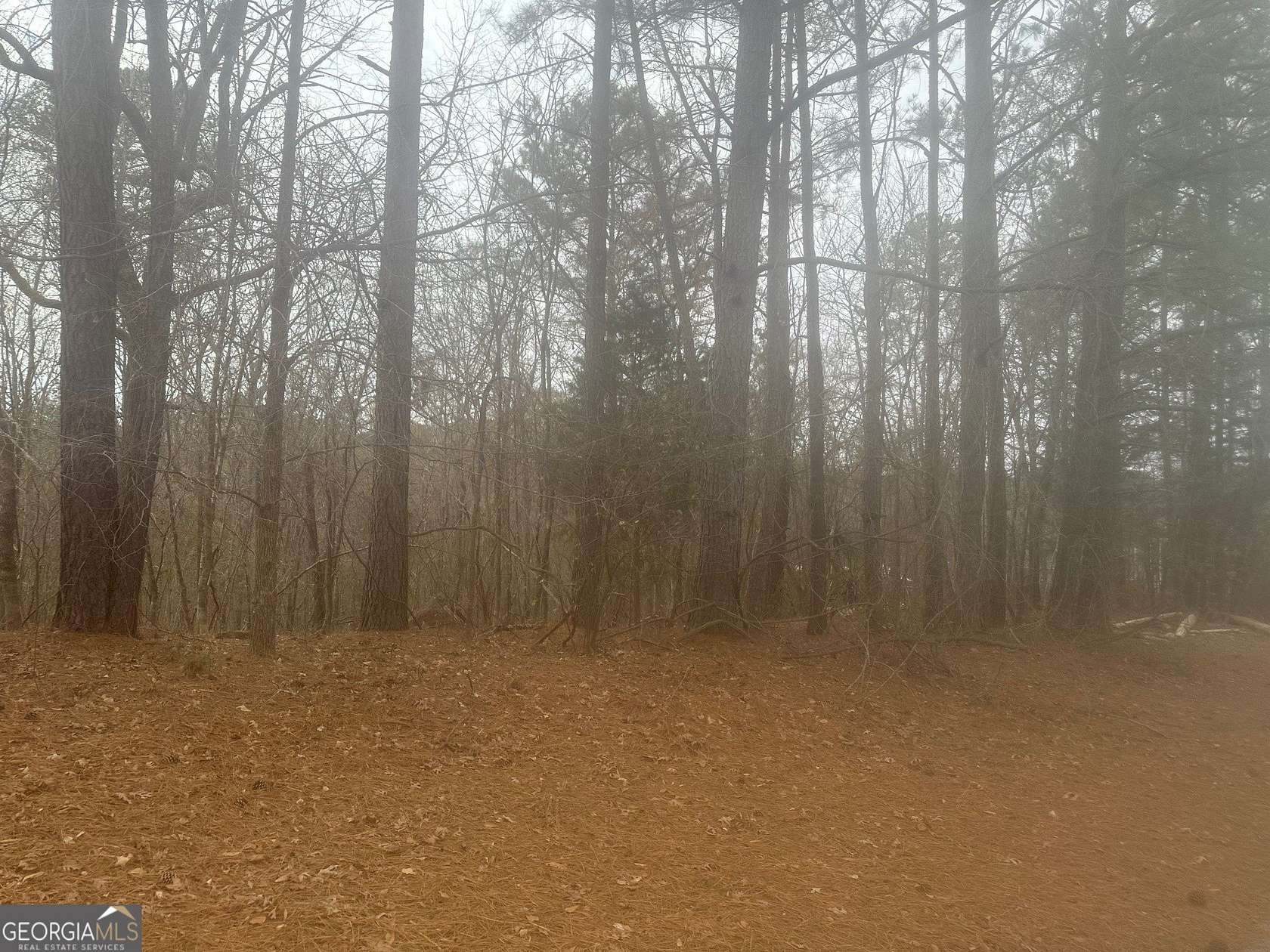 2 Acres of Residential Land for Sale in Lithonia, Georgia