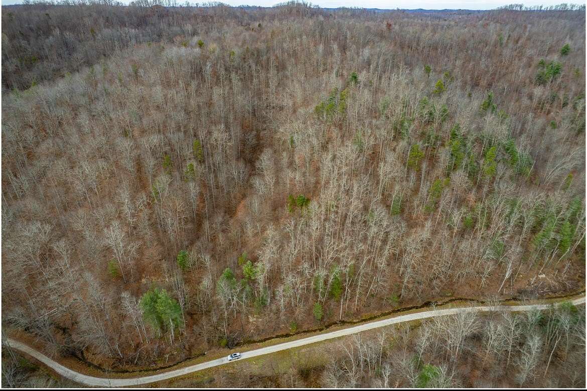 73 Acres of Land for Sale in Salyersville, Kentucky