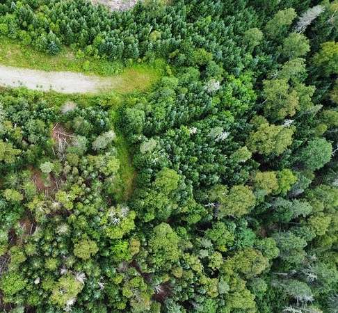 27.6 Acres of Recreational Land for Sale in Dallas Plantation, Maine