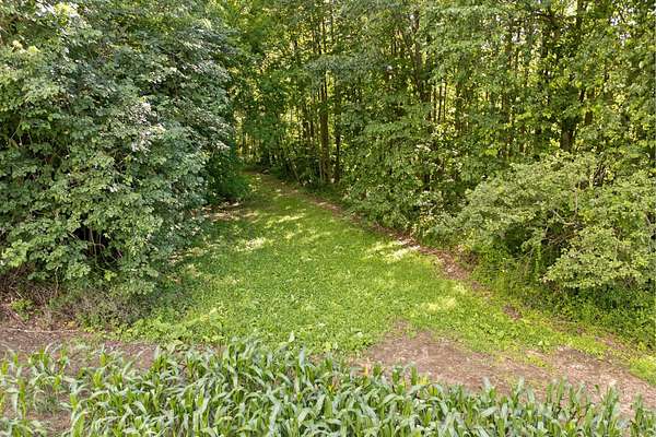 55 Acres of Land for Sale in Campbellsport, Wisconsin